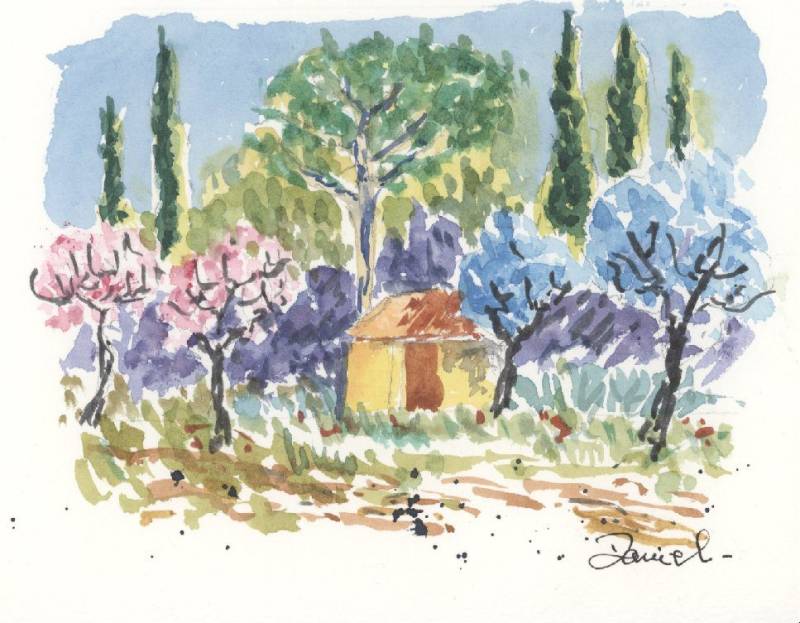 Amandiers en fleur Amandiers en fleur