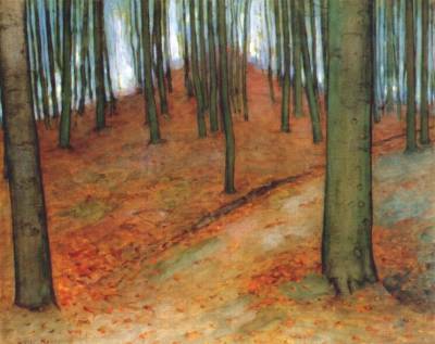 wood-with-beech-trees.jpg