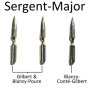 520px-sergent-major.png