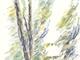 <h4>Sentier jardin (copie Cezanne)</h4><p>10/02/2023</p>